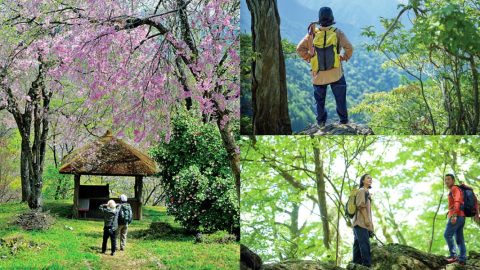 関東のハイキングスポット45選！初心者でも楽しめるコツやおすすめの山を厳選