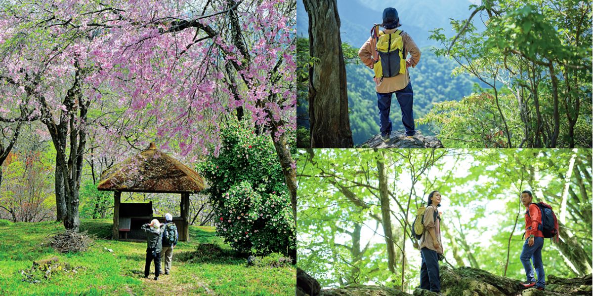 関東のハイキングスポット45選！初心者でも楽しめるコツやおすすめの山を厳選