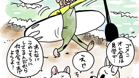 漫画家つの丸さん、3匹のわんことドキドキSUP体験！