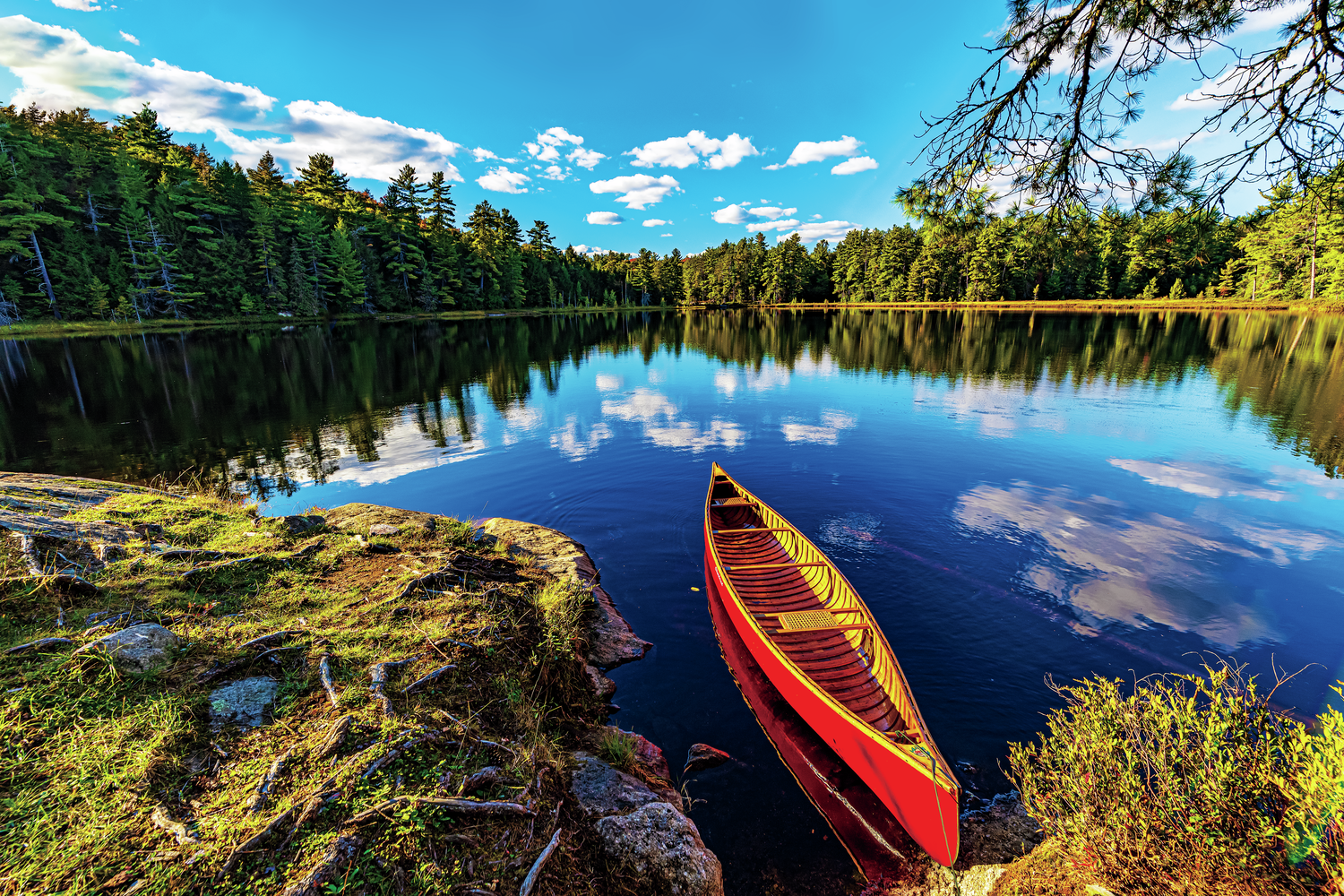 変わらないカナダの大自然の暮らしでは、カヌーも物語性を宿していく