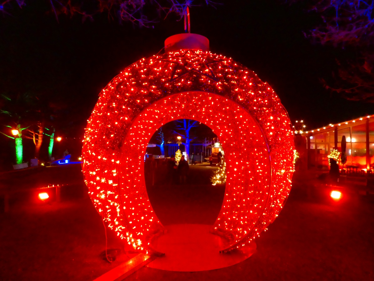 「花の島」として知られるドイツ南西部のマイナウ島でイルミネーション・ウォークを満喫！