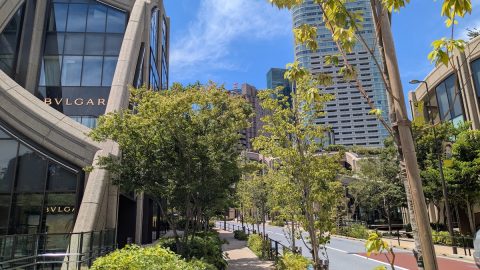 麻布台ヒルズなど人気スポット周辺で楽しむ緑道散策【プロハイカー斉藤正史の東京GREEN WAY  FILE.30】