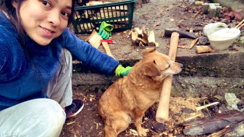 電気がなくても元気と時間はある！山小屋暮らしで、炎について考えた