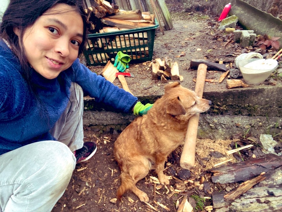 ハンガリーにて、薪割り中にやってきた近所の野良犬