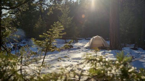 キャンプにおすすめの超小型石油ストーブ7選！性能や燃焼時間を比較