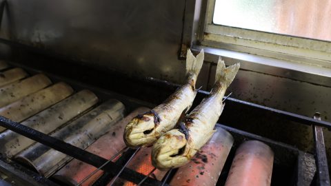 今も残る貴重な「ボラ」の郷土料理と刺身を食べに行った！