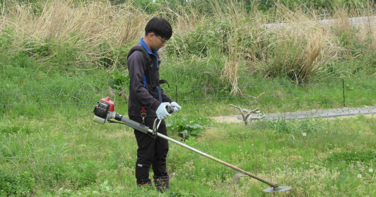 f9e02b19a7abc287c05e83579bfb3d