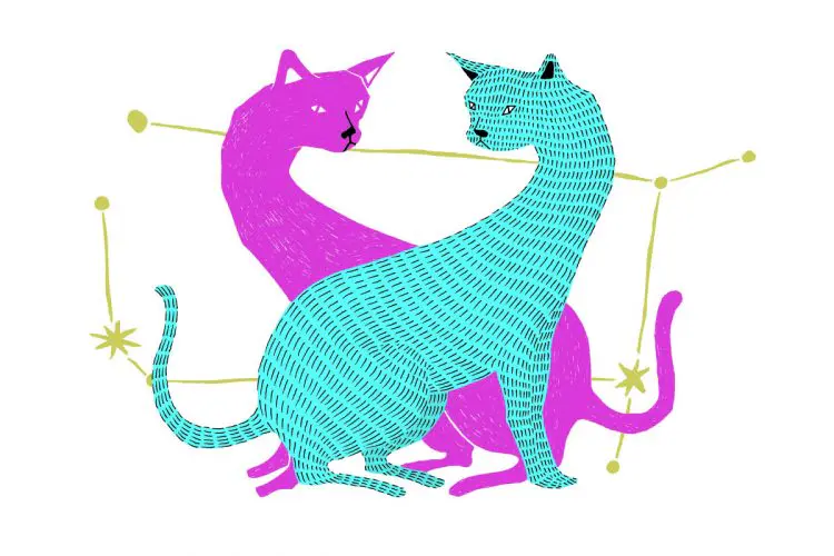 双子座（6/15～7/16）2026年1月の運勢&ラッキーアウトドア～内田真代のインド占星術占い～