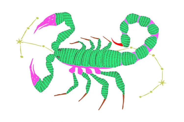 蠍座（11/16～12/15）2026年上半期の運勢&ラッキーアウトドア～内田真代のインド占星術占い～