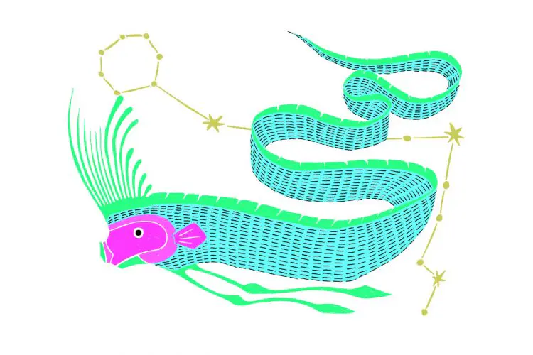 魚座（3/15～4/13生まれ）2026年上半期の運勢&ラッキーアウトドア～内田真代のインド占星術占い～