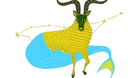 山羊座（1/15～2/12）2026年上半期の運勢&ラッキーアウトドア～内田真代のインド占星術占い～