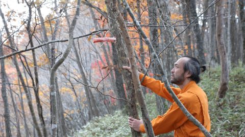 鹿の狩猟で最も大切なことは？北海道のバーで出会った若き相棒とシカを撃つ