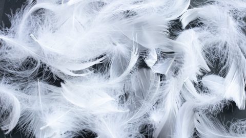 ダウンブランケットで快適ぽかぽかキャンプ！人気モデルと失敗しない選び方