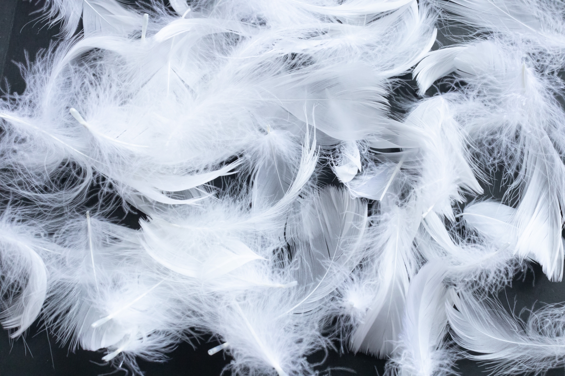 ダウンブランケットで快適ぽかぽかキャンプ！人気モデルと失敗しない選び方