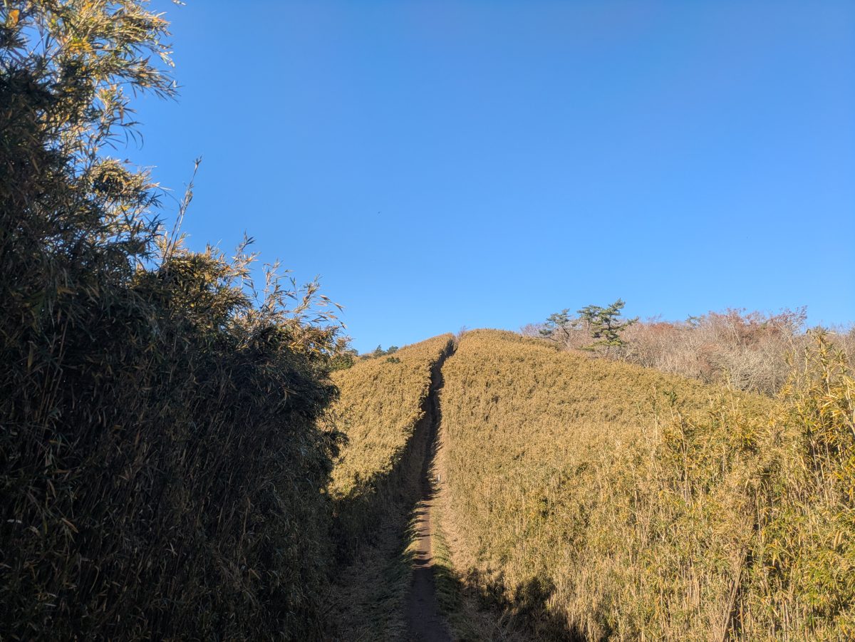 箱根の登山道。