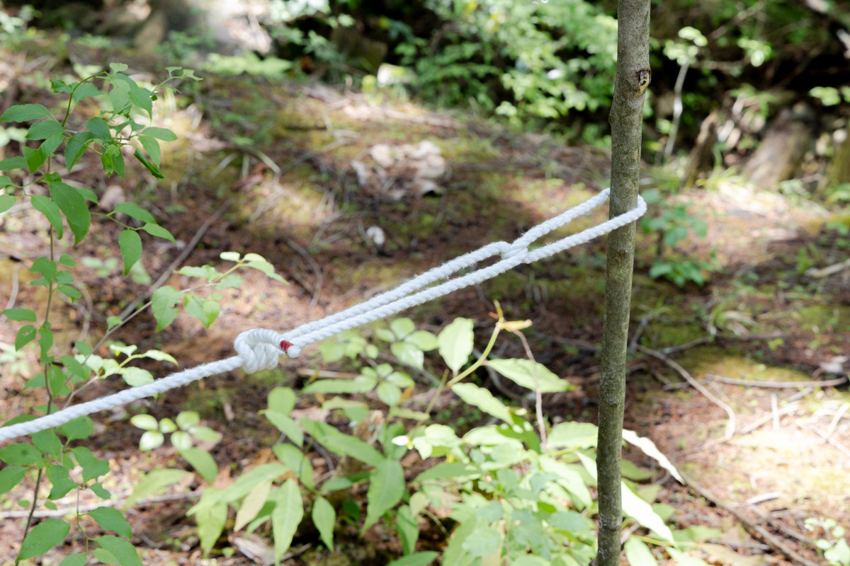 自在結びステップアップ編