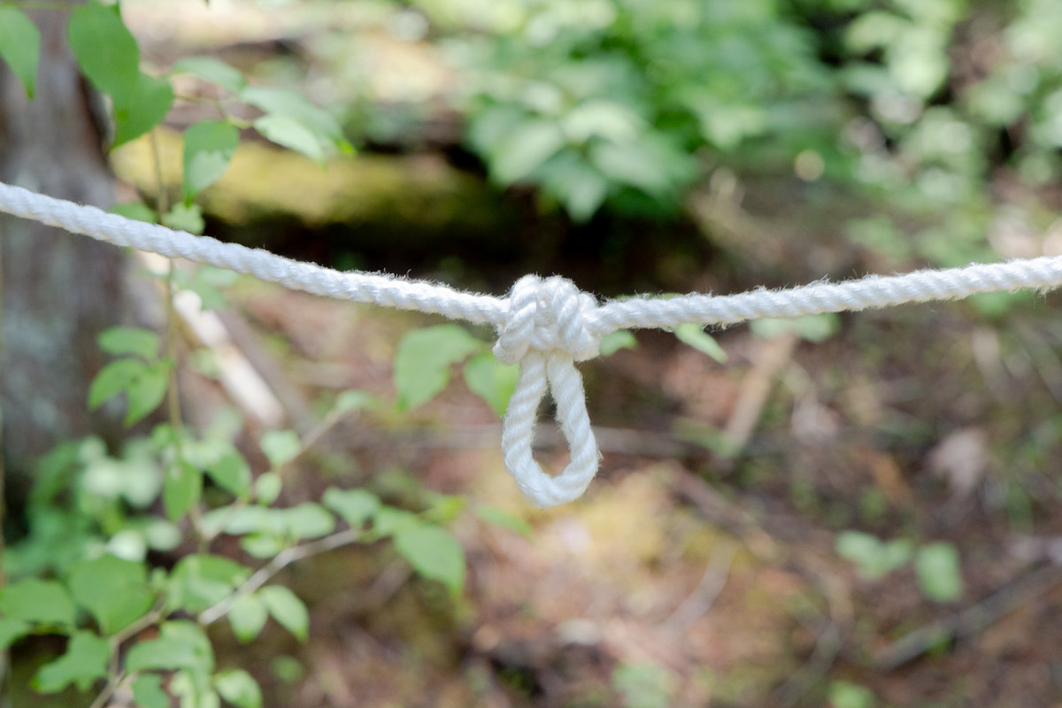 バタフライノット