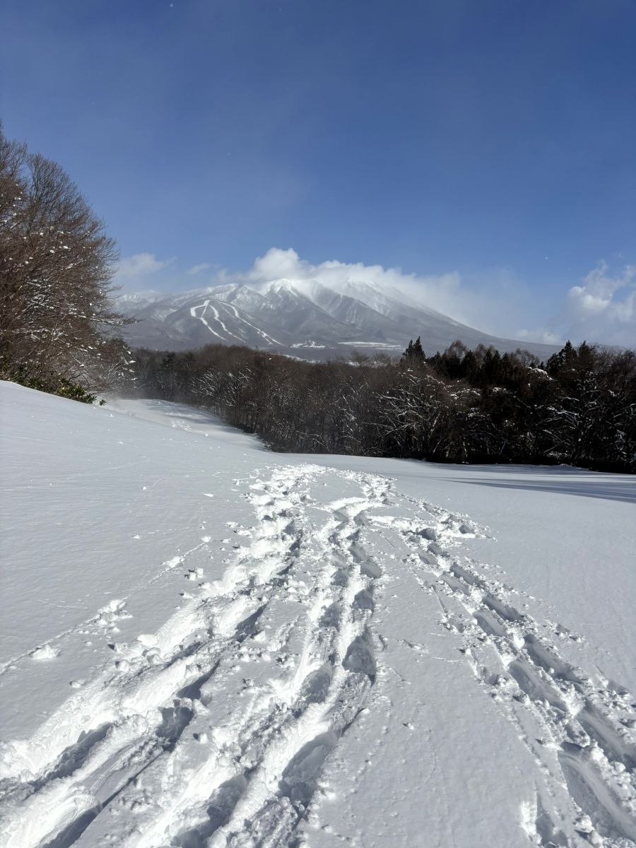 雫石スキー場の風景