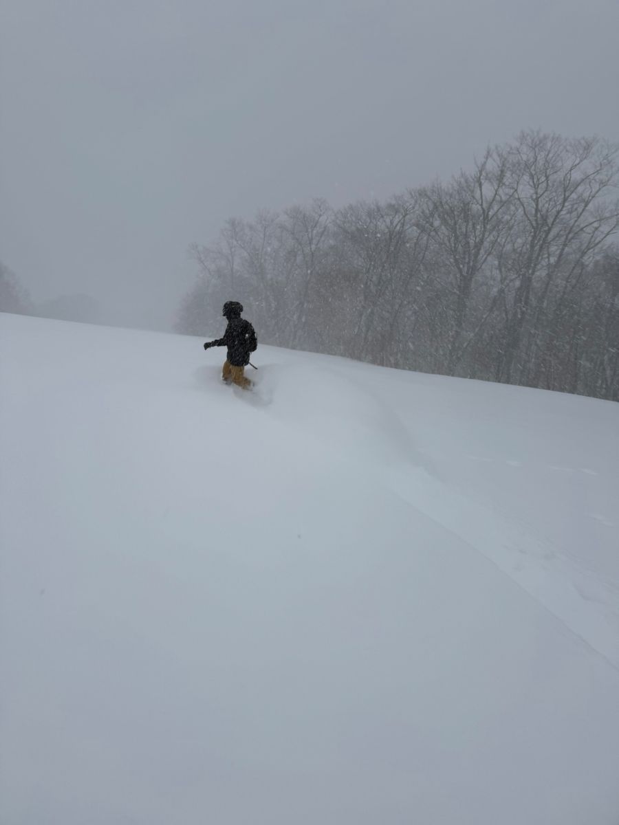 ふっかふかのパウダースノー