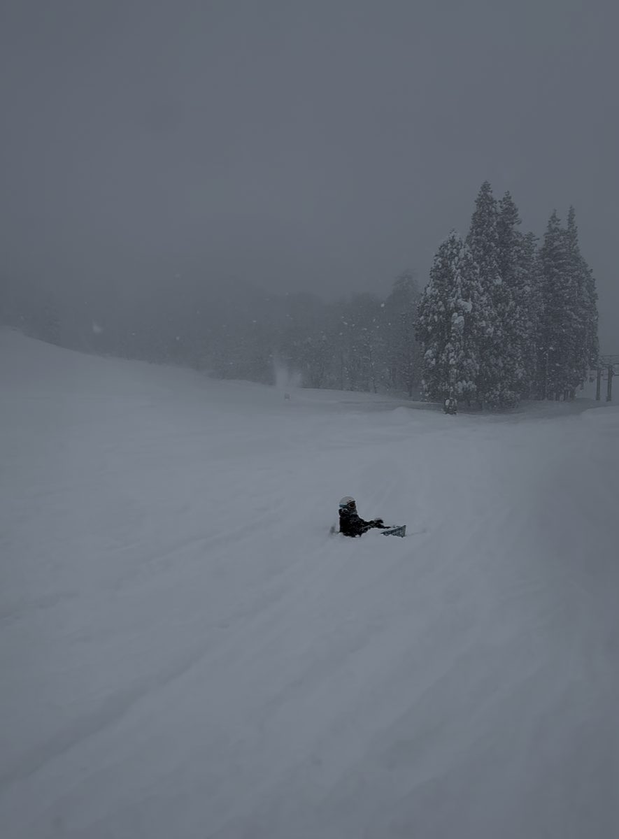 新雪が降り積もるゲレンデ