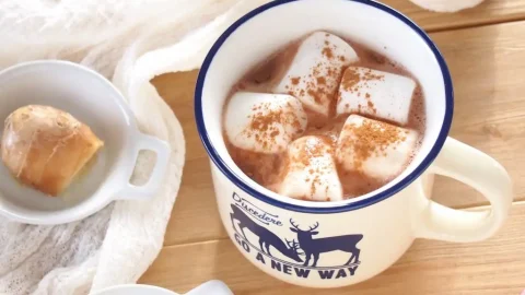 身も心も温まる！寒い日のキャンプにぴったりな冬の定番ドリンクレシピ5選