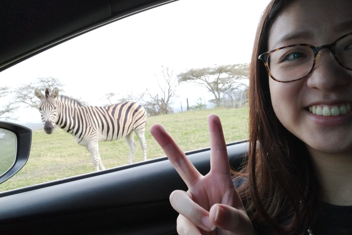 シマ模様はみんな同じ!? 絶滅危惧種もいるシマウマの見分け方とは？