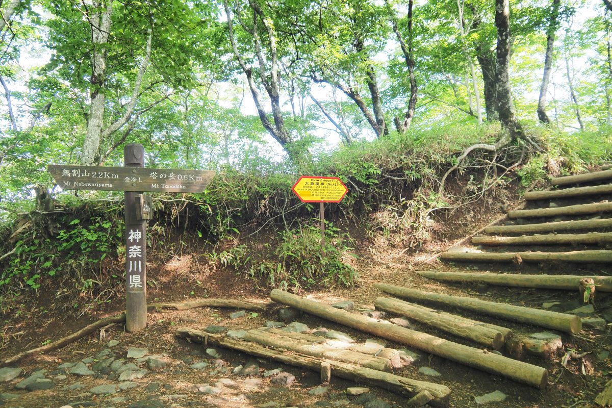 大倉尾根登山道