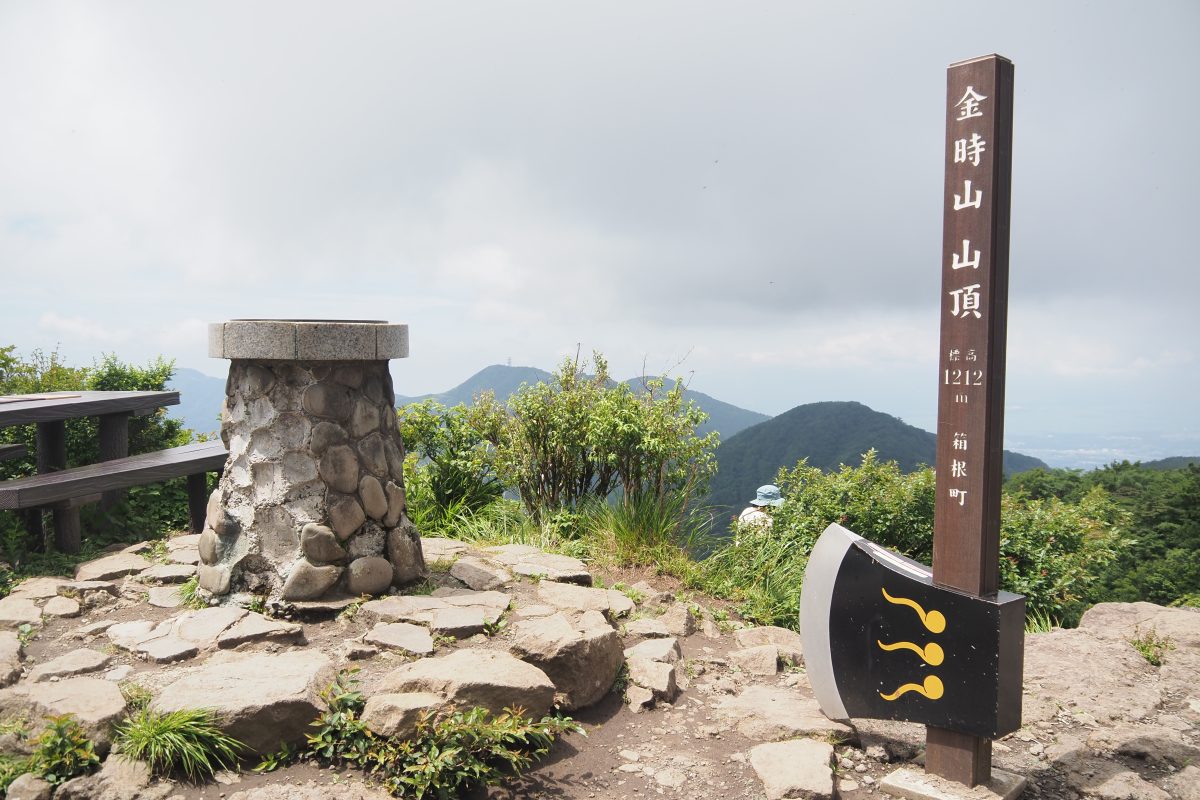 金時山山頂