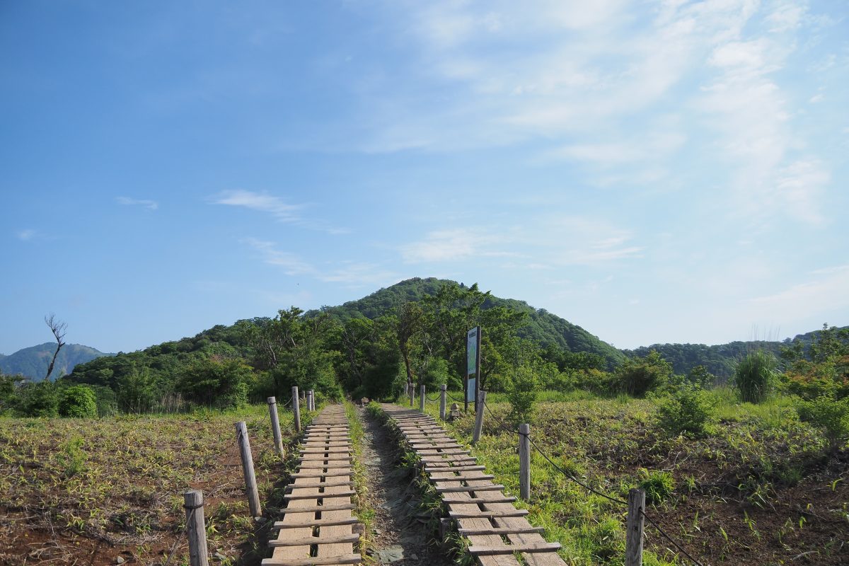大倉尾根登山道