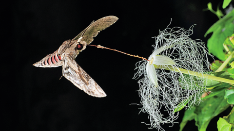 生き物の不思議、知る楽しさを味わえるソロ活5選！