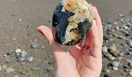 薪活、パン活、石活、高山植物活……BE-PAL編集部員の密かな!? 愉しみをご紹介