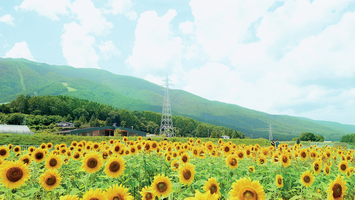 地域振興と生物多様性を未来につなぐ「カゴメ」野菜のテーマパーク