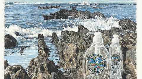 水の豊かさを未来に残す「ヤシノミ洗剤」が目指すこと　イラストレーター つがおか一孝さん特別インタビュー