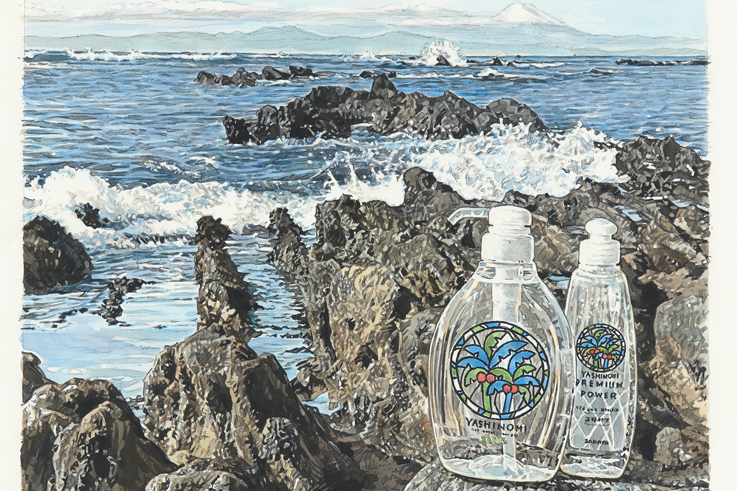 水の豊かさを未来に残す「ヤシノミ洗剤」が目指すこと　イラストレーター つがおか一孝さん特別インタビュー