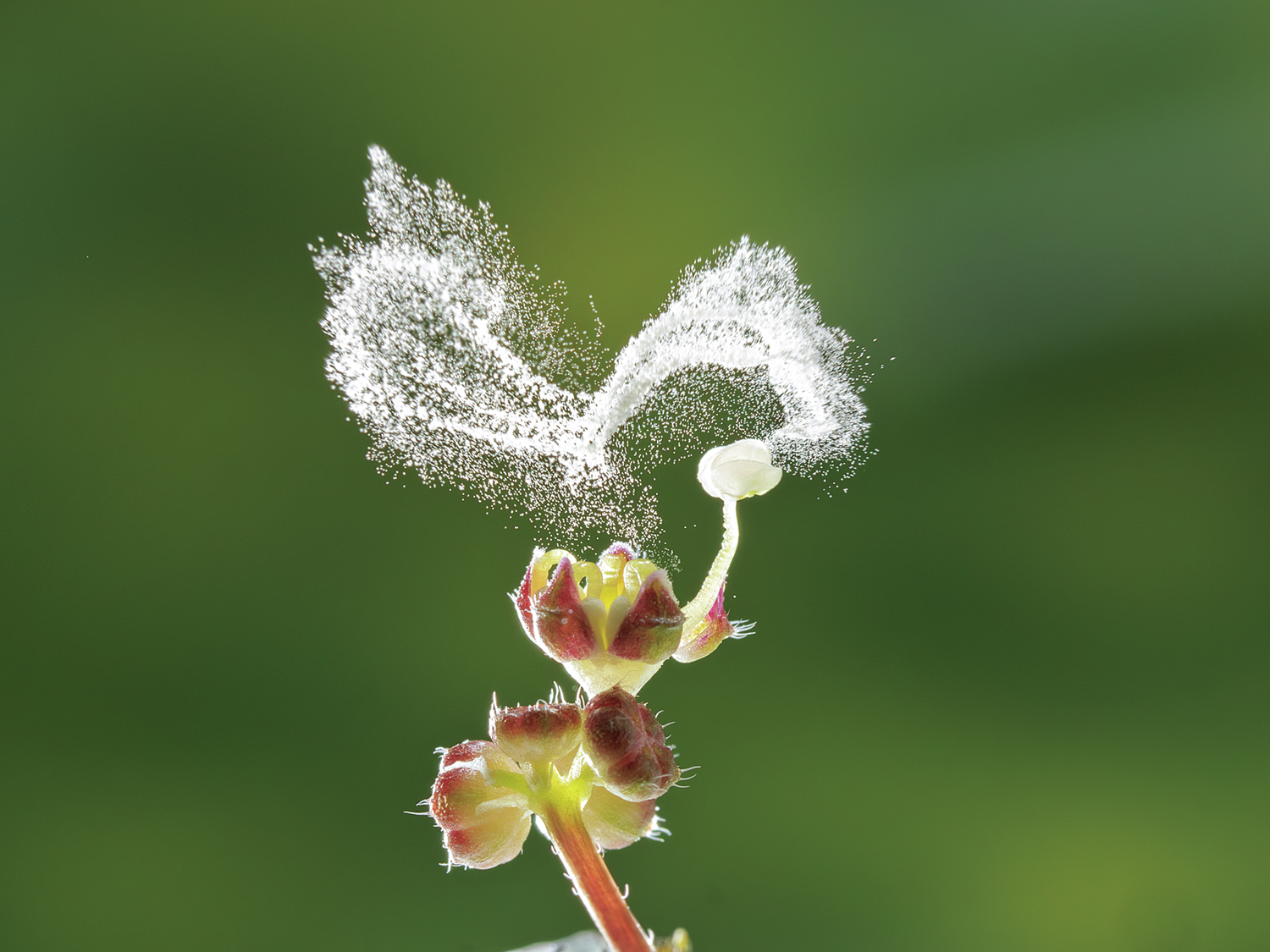 生き物の不思議、知る楽しさを味わえるソロ活5選！