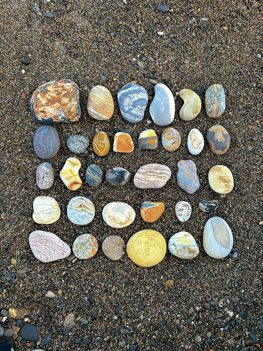 薪活、パン活、石活、高山植物活……BE-PAL編集部員の密かな!? 愉しみをご紹介