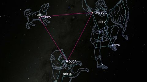 冬の大三角でいちばん明るい星はシリウスじゃなかった！ 絶対等級で比べた星の輝き