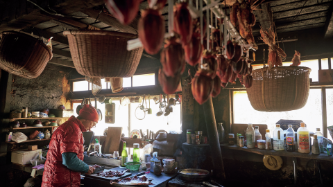 服部文祥さんの山暮らしに密着！ 自然と共生し、自給自足を愉しむ
