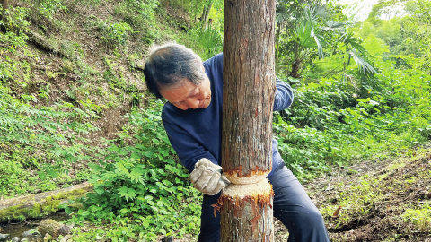 地球上に地図の空白地帯がほぼなくなった今、“グレートジャーニー”関野吉晴は時を遡る旅に出た