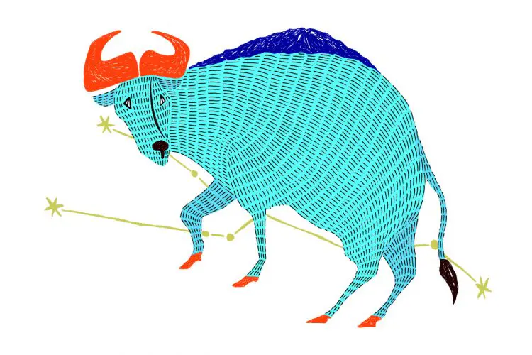 牡牛座（5/15～6/14）2026年3月の運勢&ラッキーアウトドア～内田真代のインド占星術占い～