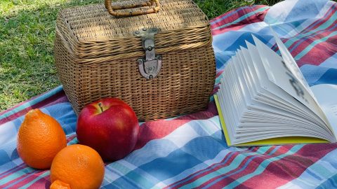 コンパクトなレジャーシートのおすすめ11選！選び方も詳しく解説