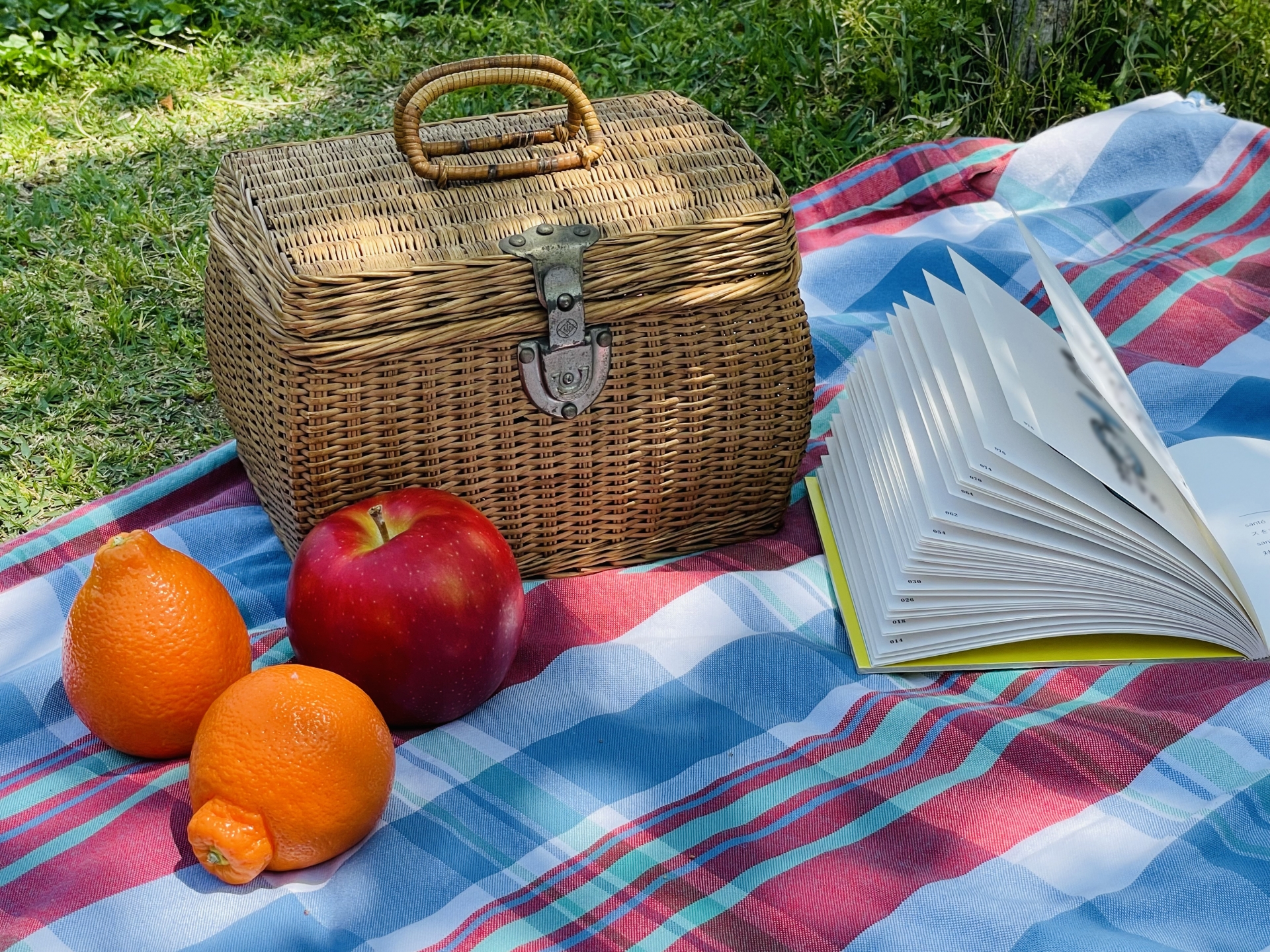 コンパクトなレジャーシートのおすすめ11選！選び方も詳しく解説