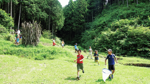 日本企業が力を入れる、ネイチャー分野のSDGs活動3選