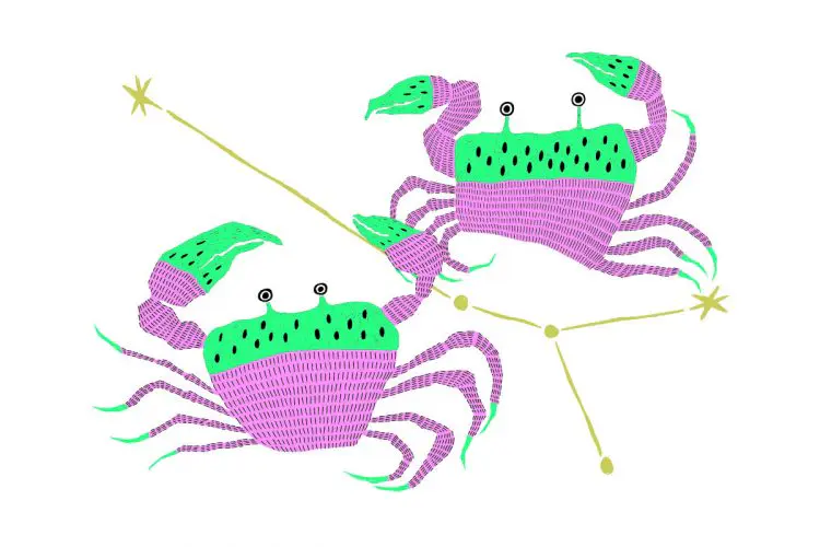 蟹座（7/17～8/16）2026年3月の運勢&ラッキーアウトドア～内田真代のインド占星術占い～