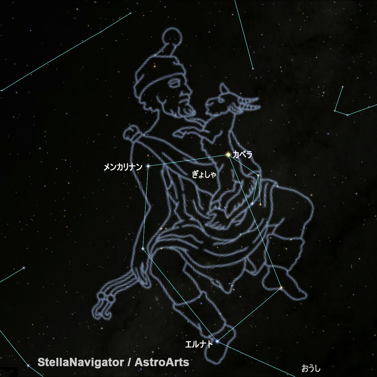 北の空に輝く五角形のぎょしゃ座。なぜ戦車を発明した男性は子ヤギを抱えているのか？