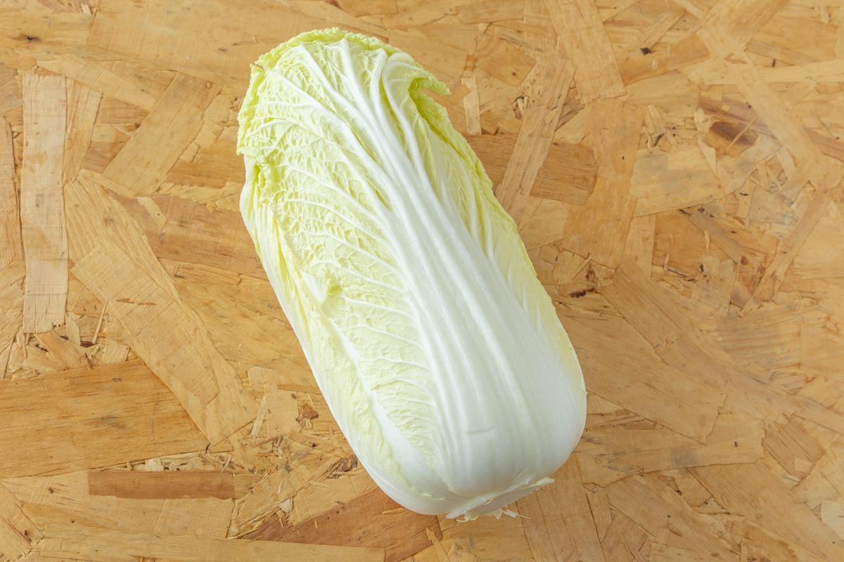 白菜
