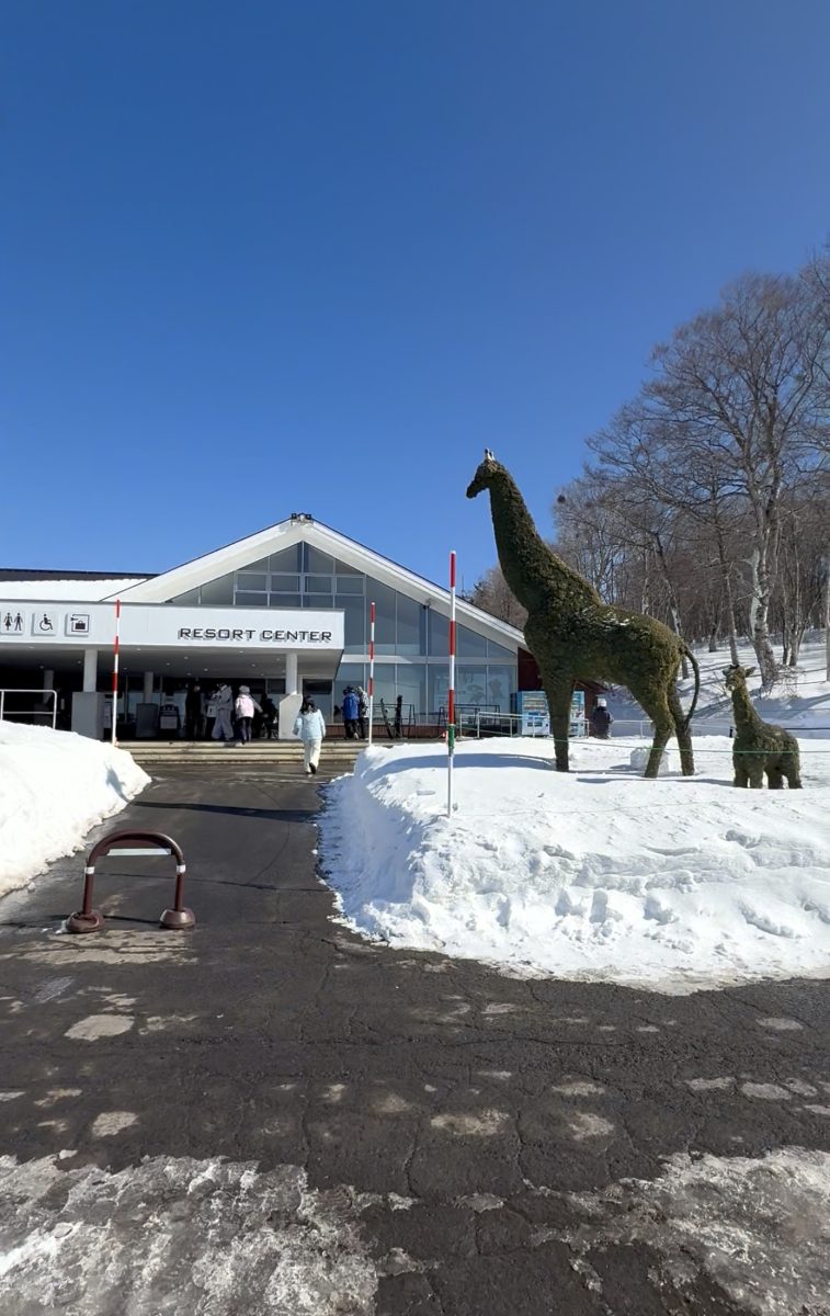 スキー場に到着
