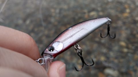 気持ちが入りすぎて魚に気づかれることも!? 釣りで起きる「ビギナーズラック」を考察してみた！