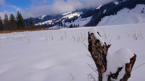 “黒い湖”はどこ？スイス西部の人気スポット「シュヴァルツゼー」の銀世界で楽しむ雪中ウォーキング