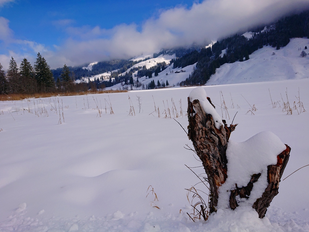 “黒い湖”はどこ？スイス西部の人気スポット「シュヴァルツゼー」の銀世界で楽しむ雪中ウォーキング